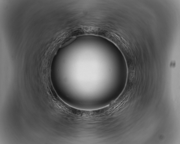 X0000100371345200806061146