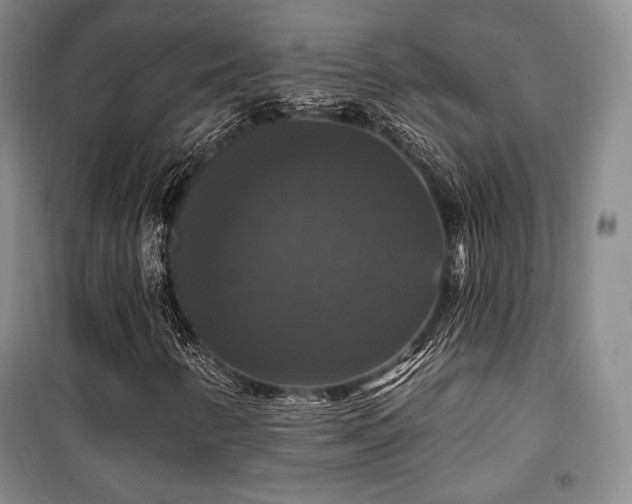 X0000100371346200806061146