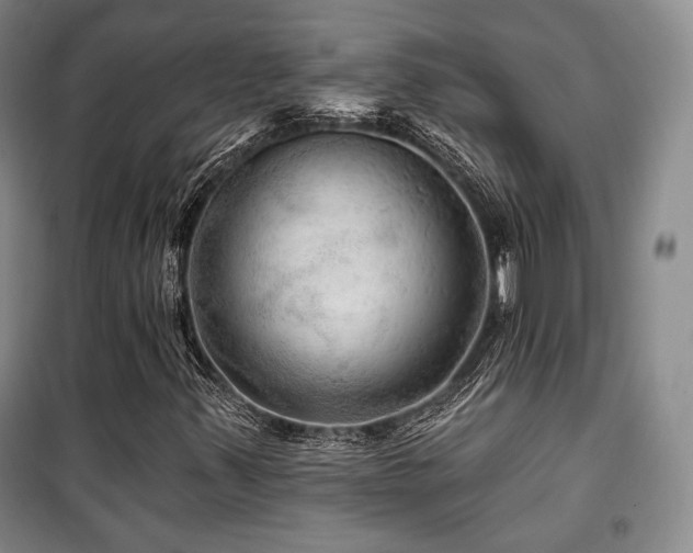X0000100371347200806061146