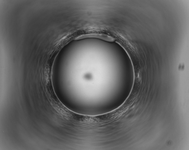 X0000100371348200806061146