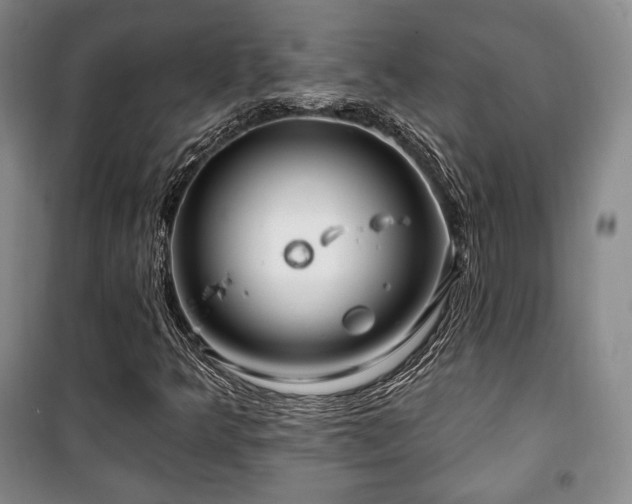 X0000100371349200806061146