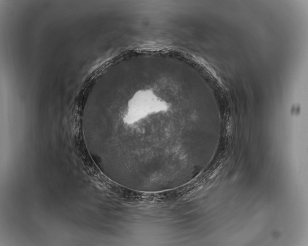 X0000100371350200806061146