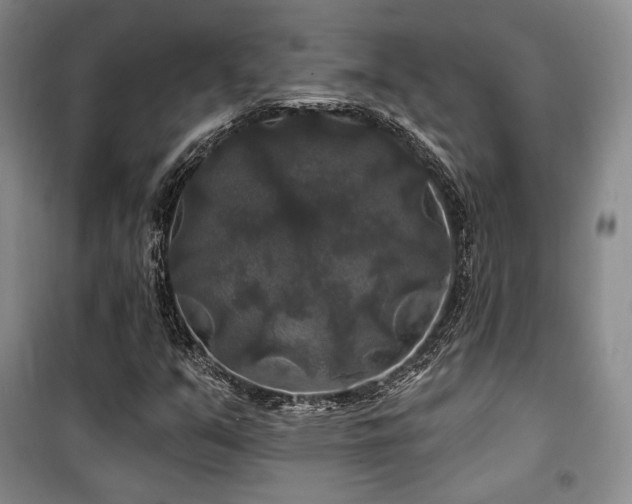 X0000100371351200806061146