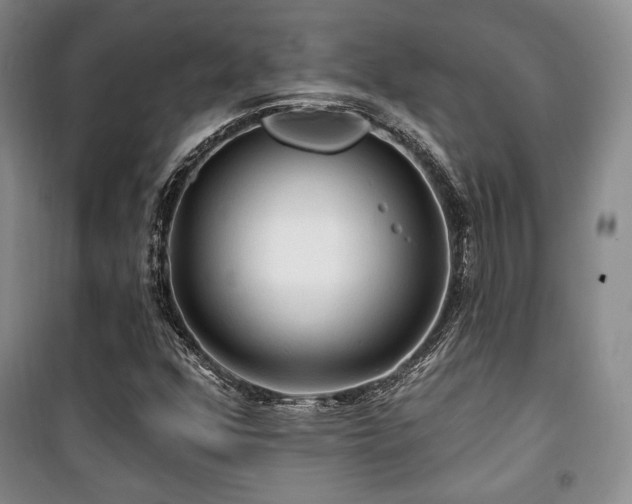 X0000100371352200806061146