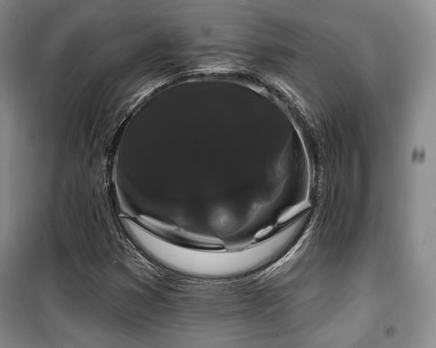 X0000100371353200806061146