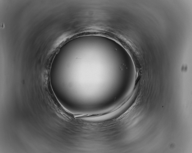 X0000100371355200806061146