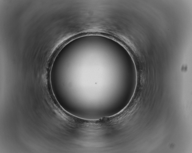 X0000100371356200806061146