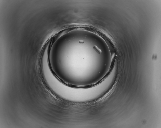 X0000100371357200806061146