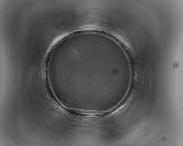 X0000100371358200806061146