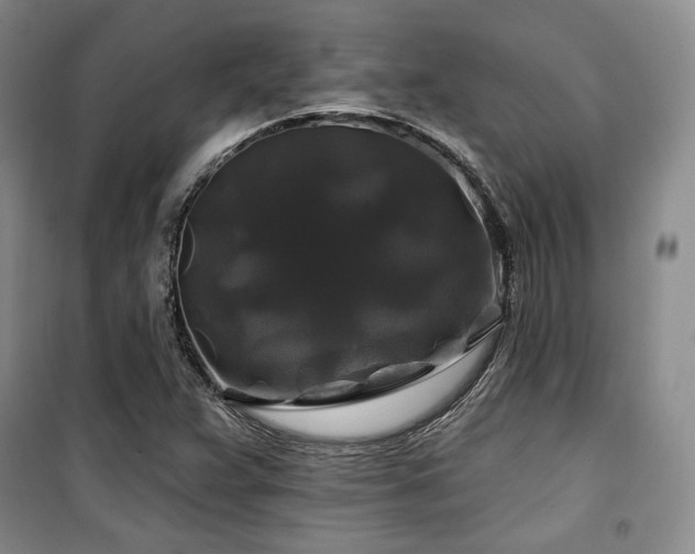 X0000100371359200806061146