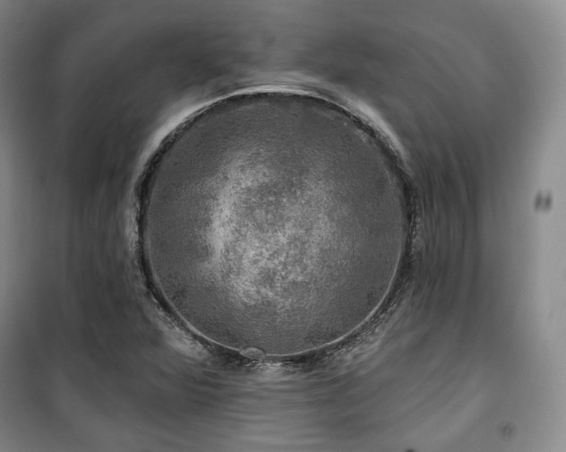 X0000100371360200806061146