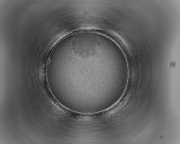 X0000100371361200806061146