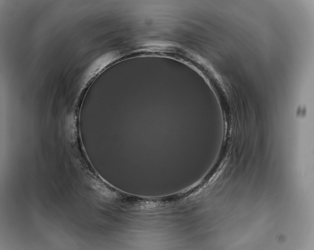 X0000100371362200806061146