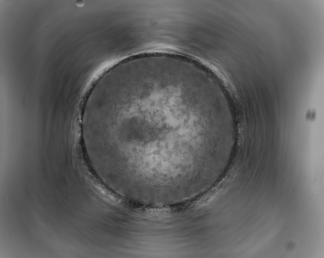 X0000100371363200806061146