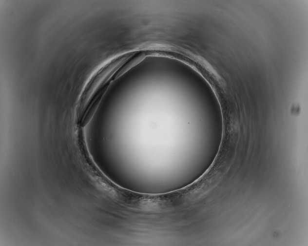 X0000100371364200806061146