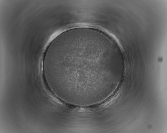 X0000100371365200806061146