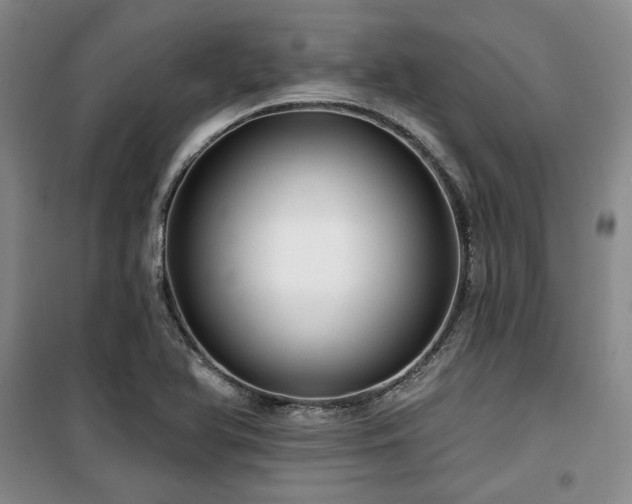 X0000100371366200806061146