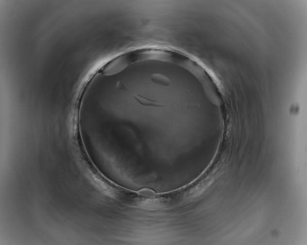 X0000100371367200806061146