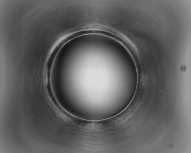 X0000100371368200806061146