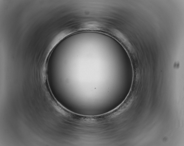 X0000100371370200806061146