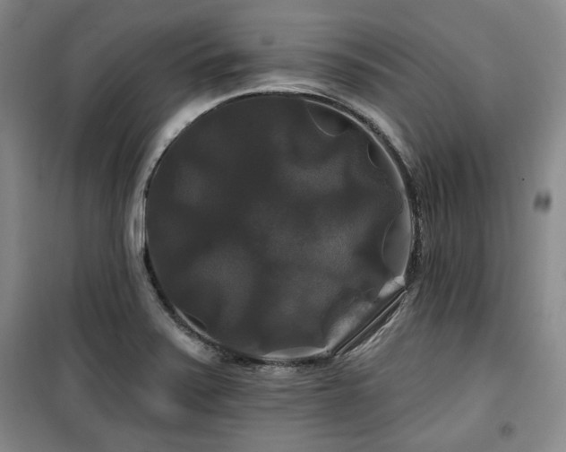 X0000100371371200806061146