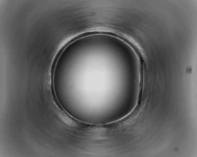 X0000100371372200806061146