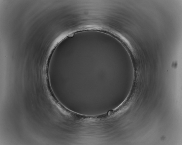 X0000100371373200806061146