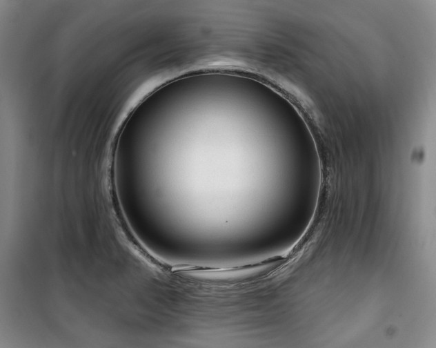 X0000100371374200806061146