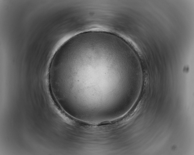 X0000100371375200806061146