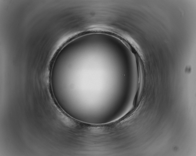 X0000100371376200806061146