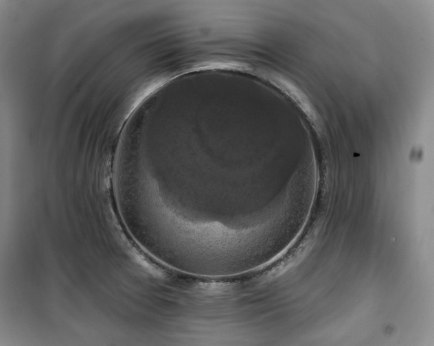 X0000100371377200806061146