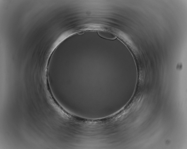 X0000100371378200806061146
