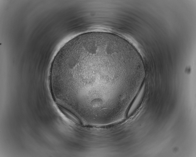 X0000100371379200806061146
