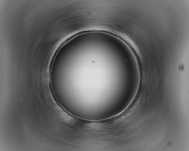 X0000100371380200806061146