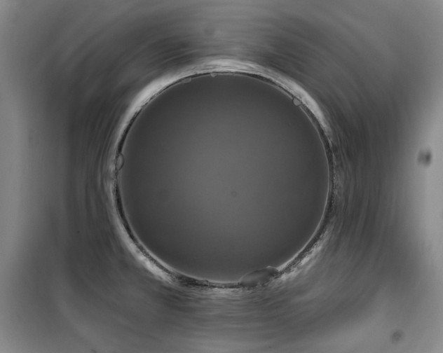 X0000100371381200806061146