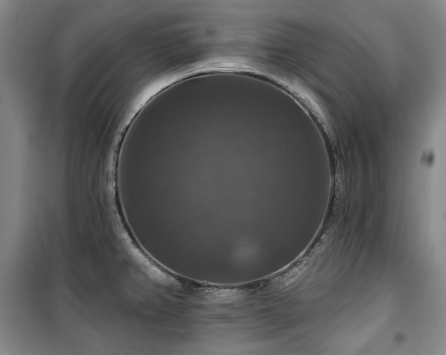 X0000100371382200806061146