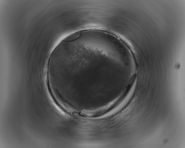 X0000100371383200806061146