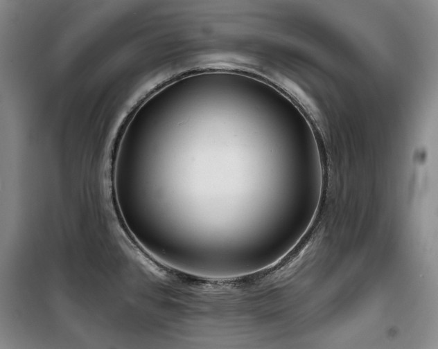 X0000100371384200806061145