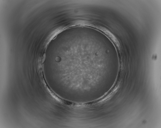 X0000100371385200806061145