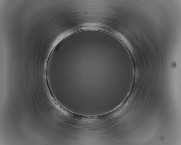 X0000100371386200806061145