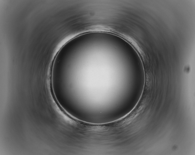X0000100371387200806061145