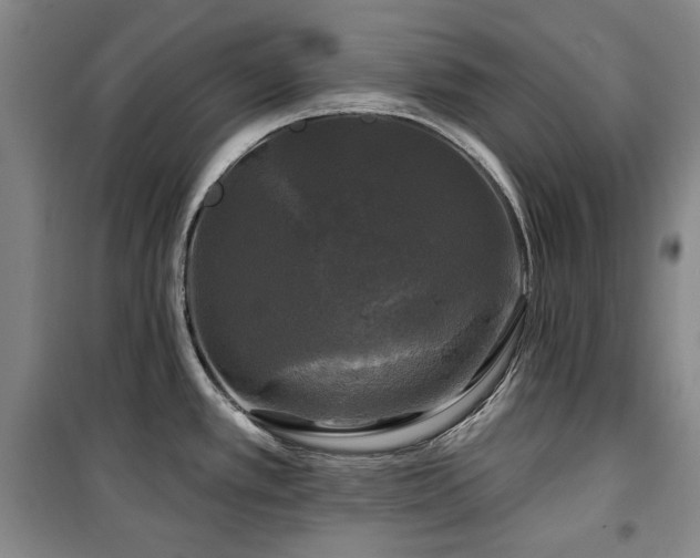 X0000100371389200806061145
