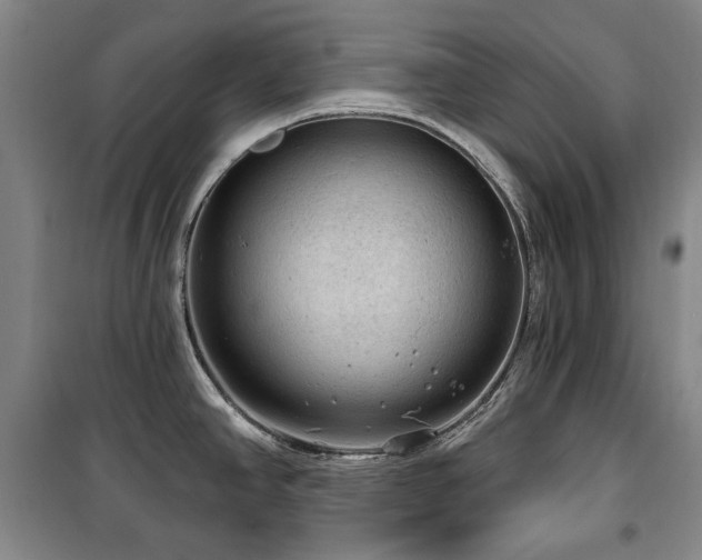 X0000100371390200806061145