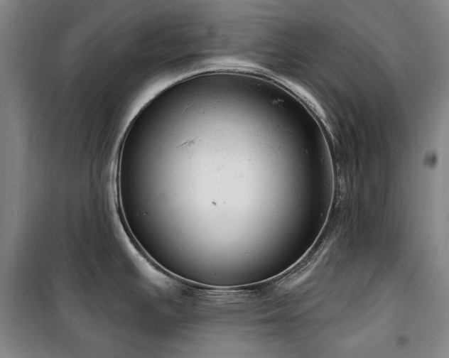 X0000100371391200806061145