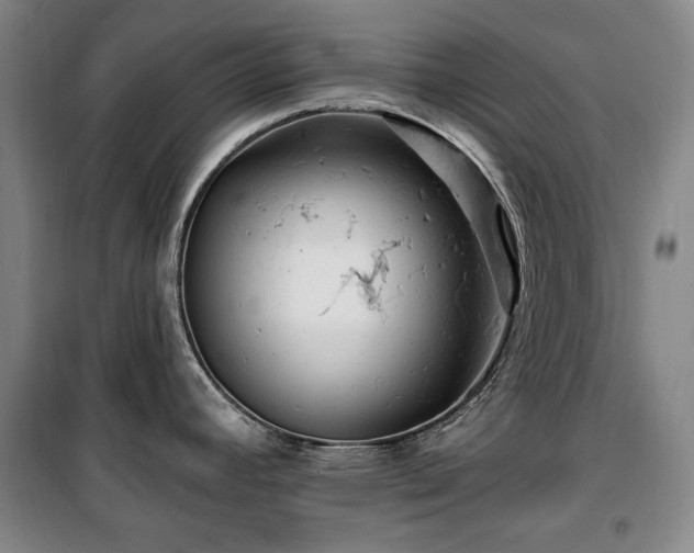 X0000100371392200806061145