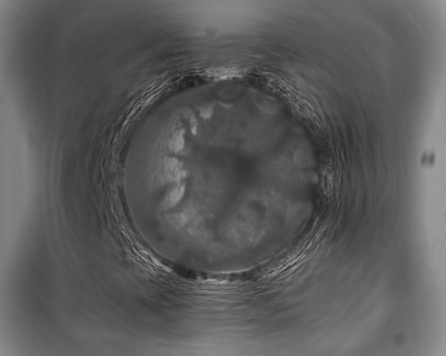 X0000100371393200806061144