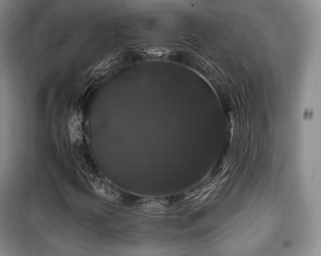 X0000100371394200806061144