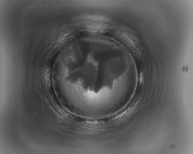 X0000100371396200806061145