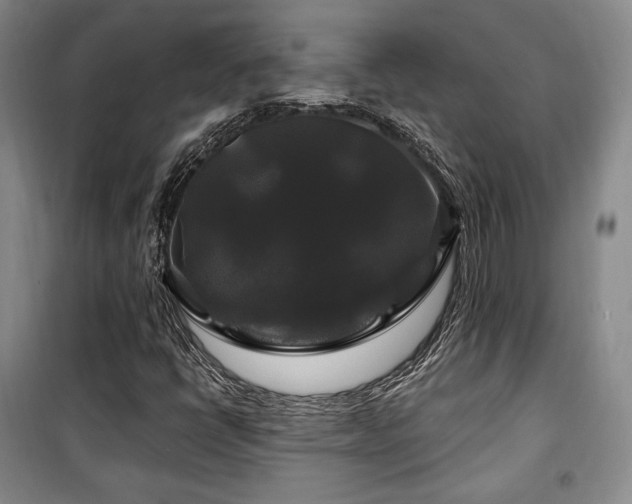 X0000100371398200806061145