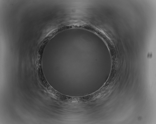 X0000100371399200806061145